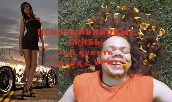 винт Алексеевка